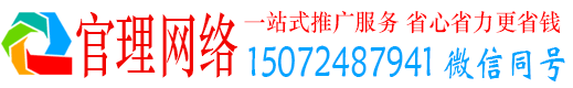 大新官理百度网络推广